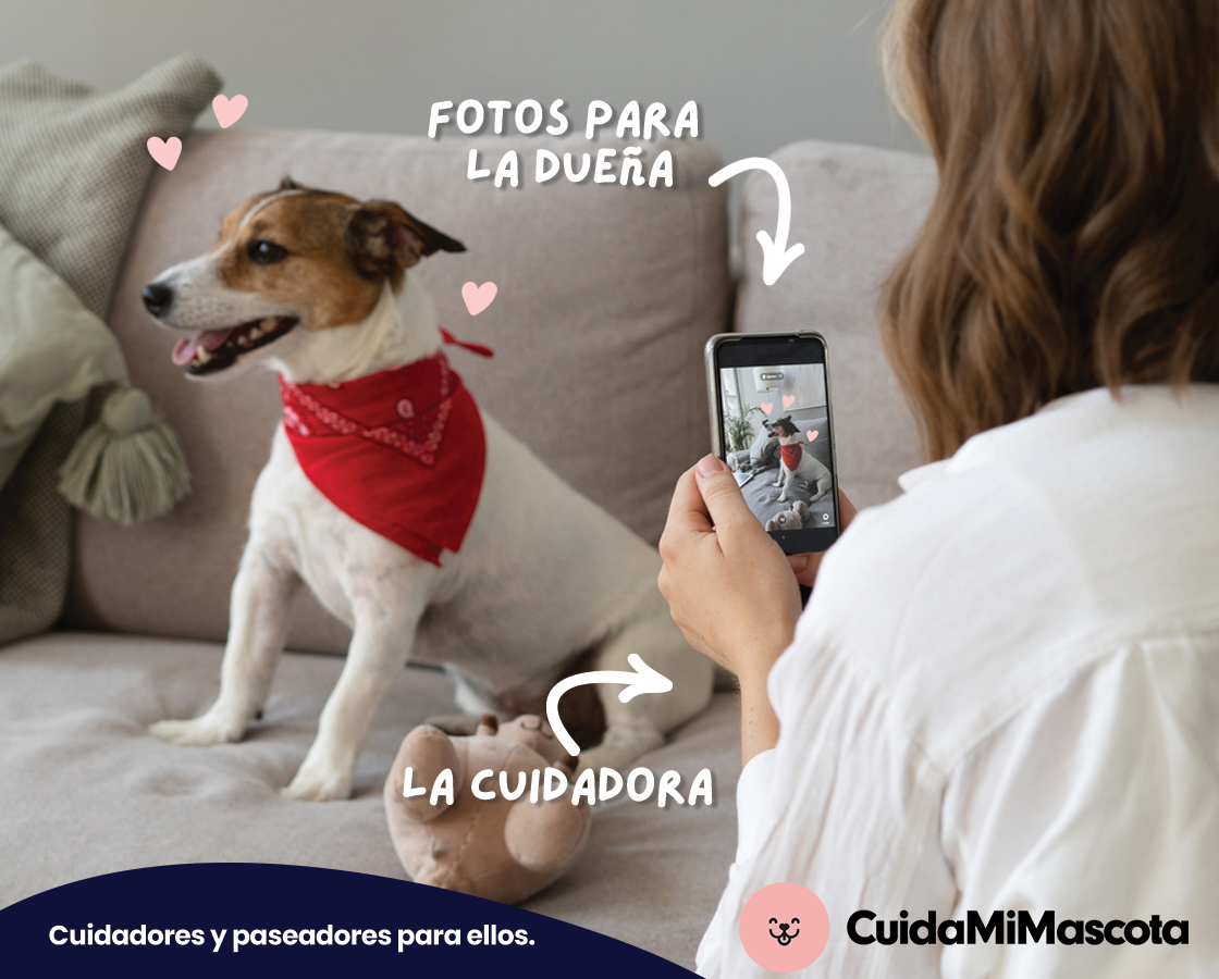 producto image